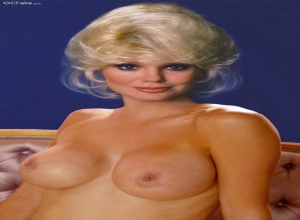 ahmed afra recommends Loni Anderson Fake Nude