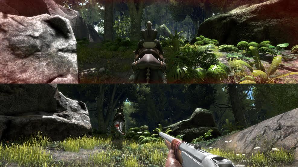 the forest split screen