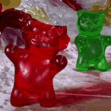 Dancing Gummy Bear Gif look defecation