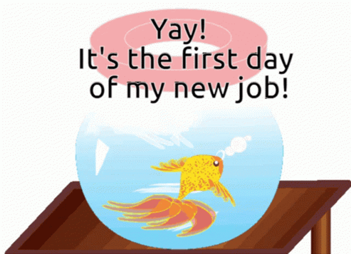 baitulla khan recommends happy first day of work gif pic