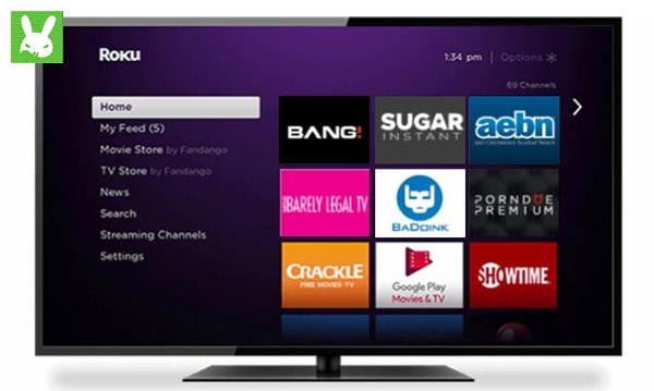 roku porn app