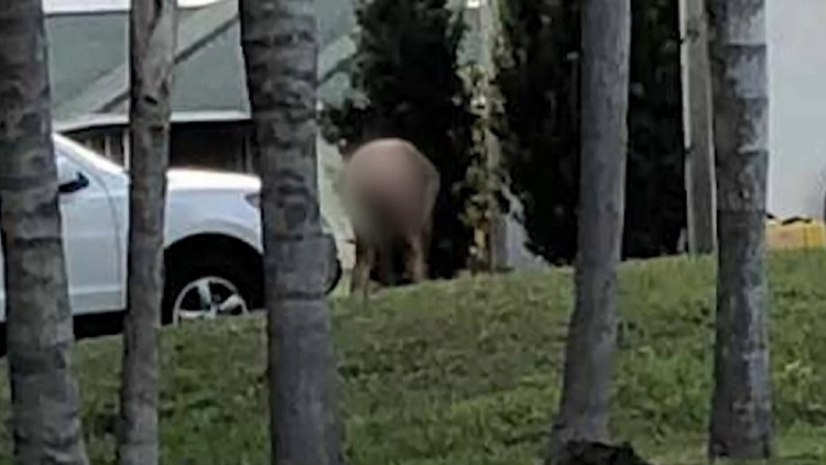 dee saunders share doing yard work naked photos