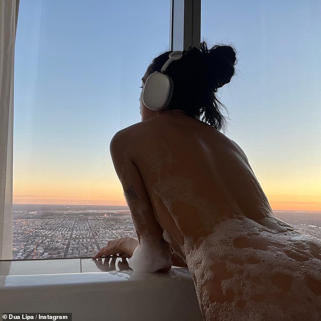 dua lipa nude pic