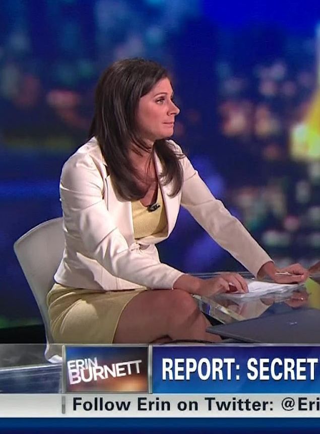 cole brian recommends erin burnett hot pictures pic