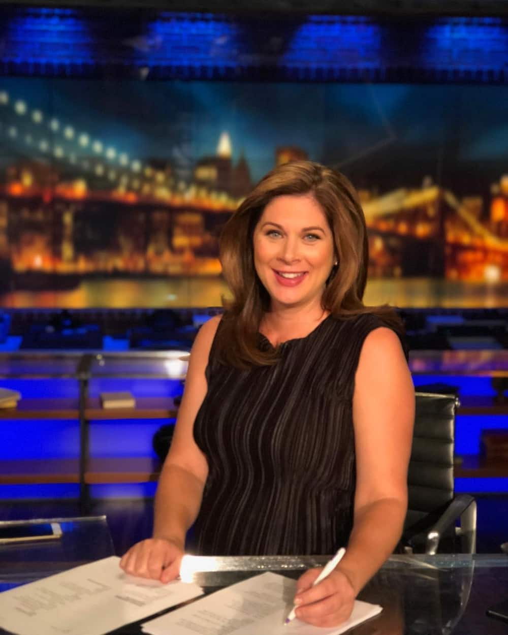 dave camden recommends Erin Burnett Hot