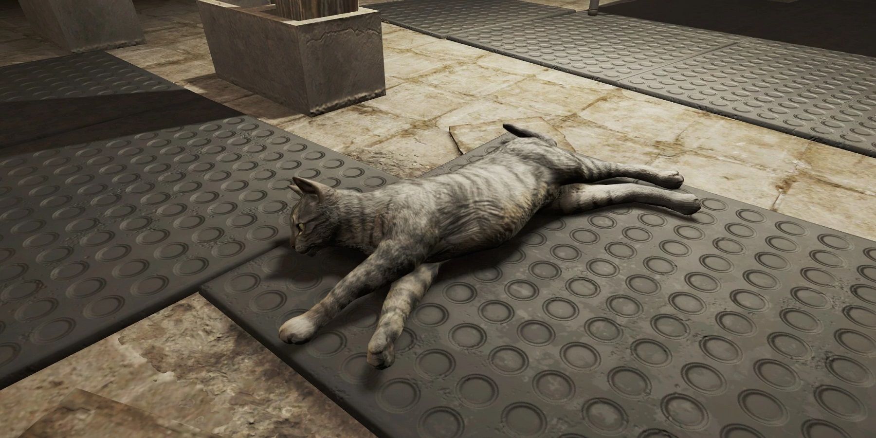 donovon nichols recommends Cats In Fallout 4