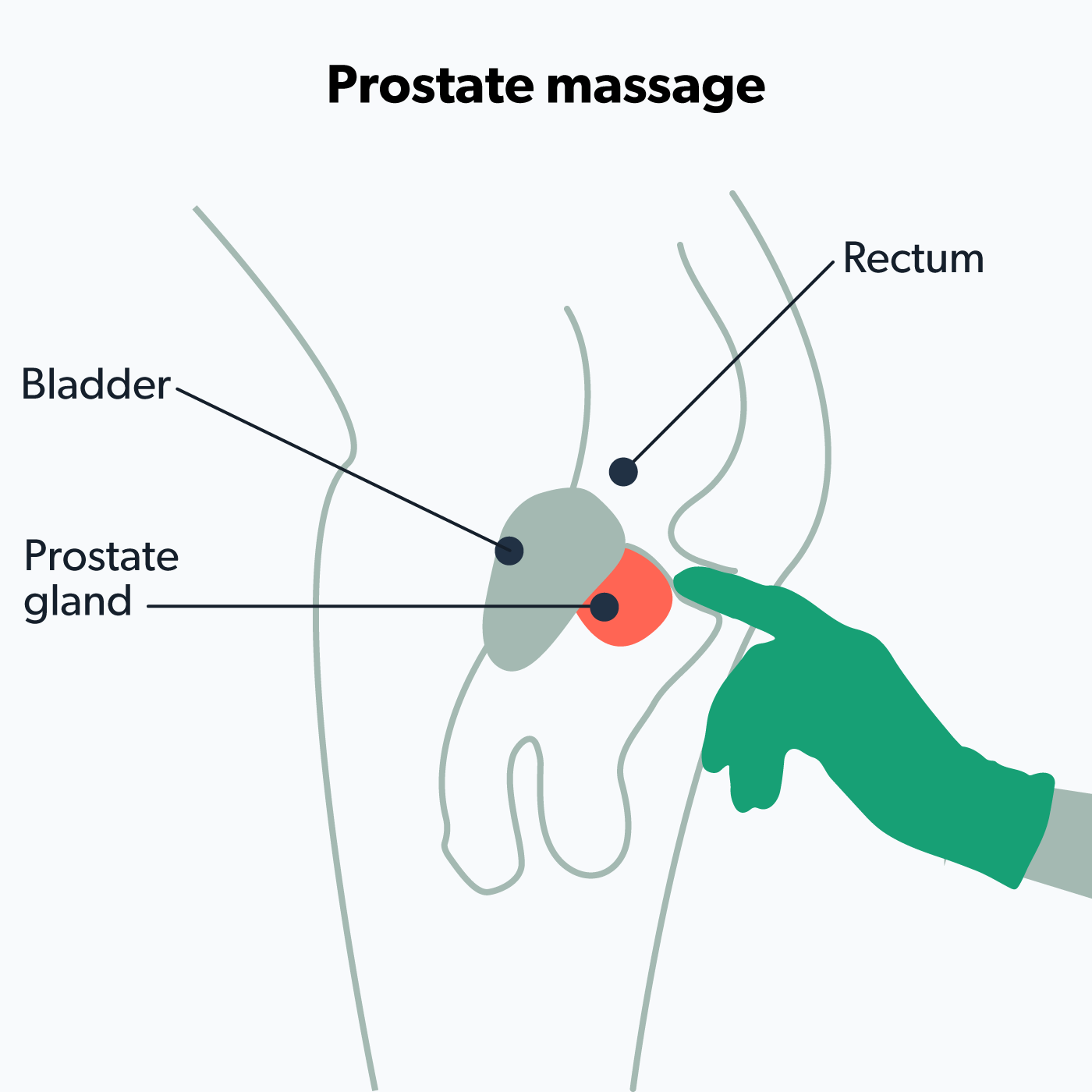 alexis minaj add prostate massage instructional video photo