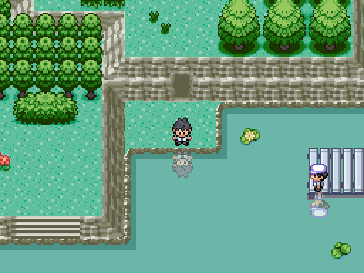 anthony rivera recommends Pokemon Rom Hack Where You Are A Gym Leader