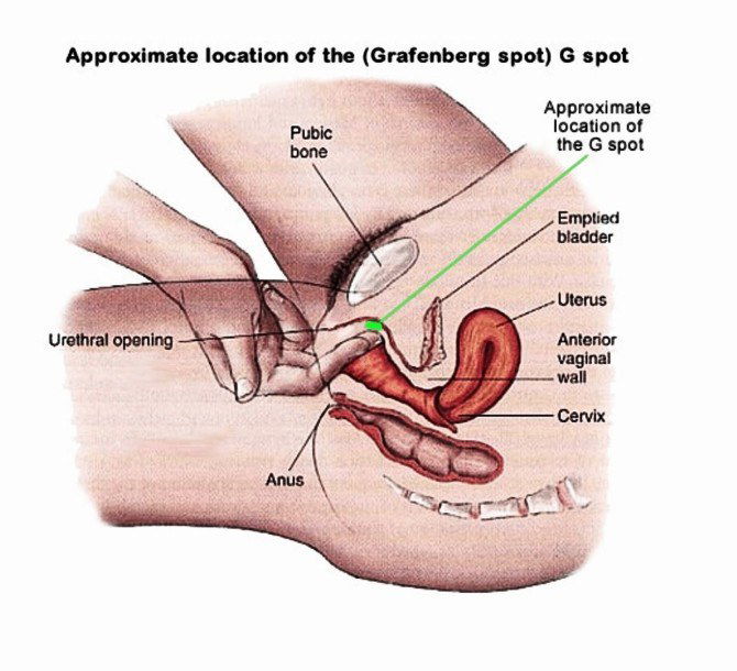 Best of G spot o face