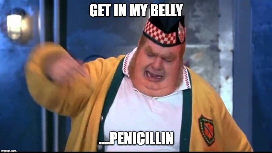 anirban bakshi recommends get in my belly meme gif pic