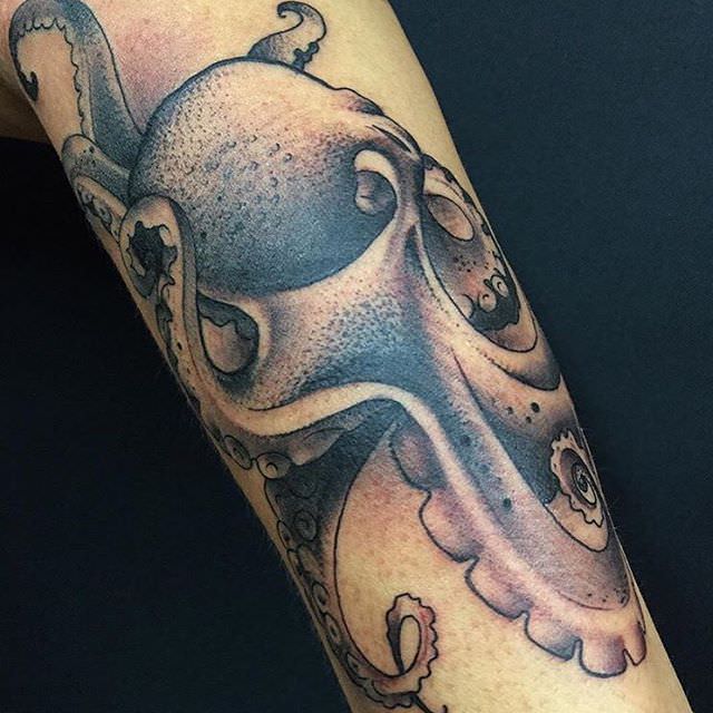 aviv solomon recommends girl with the octopus tattoo pic