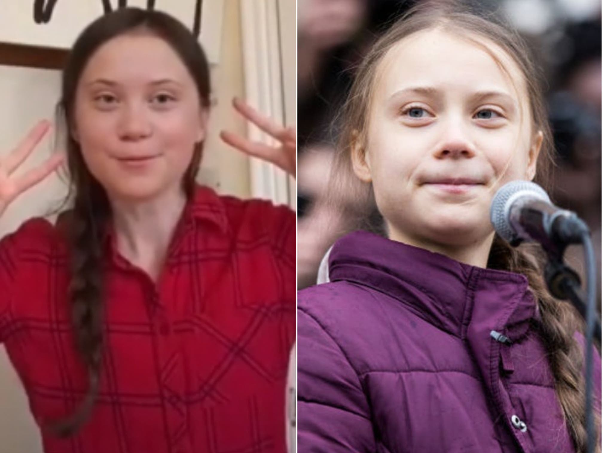 christine winning share greta thunberg twerking photos