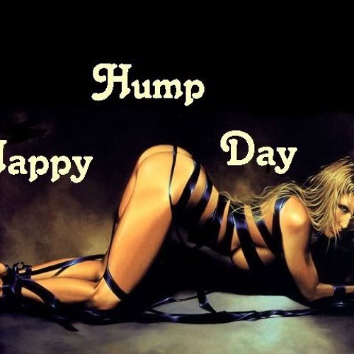 denver nixon recommends happy sexy hump day pic