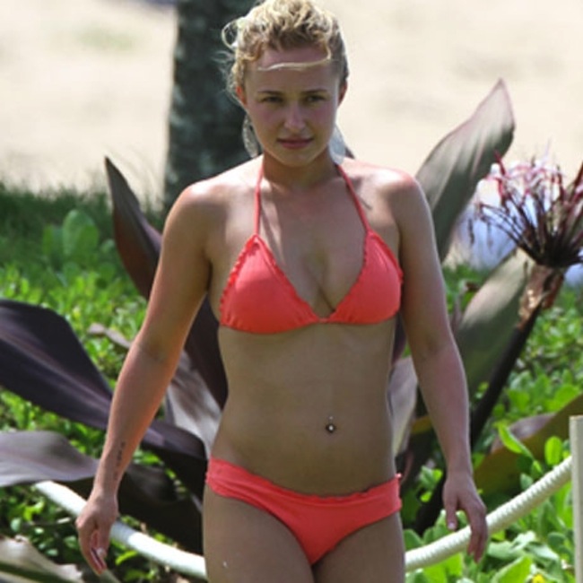 diane addison recommends Hayden Panettiere Ass Pics
