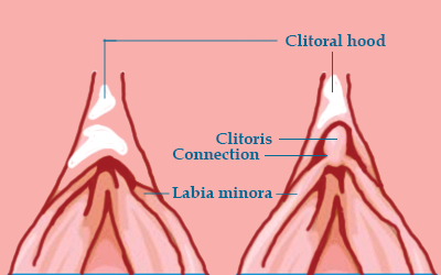 dede michael recommends how to pull back clitoral hood pic