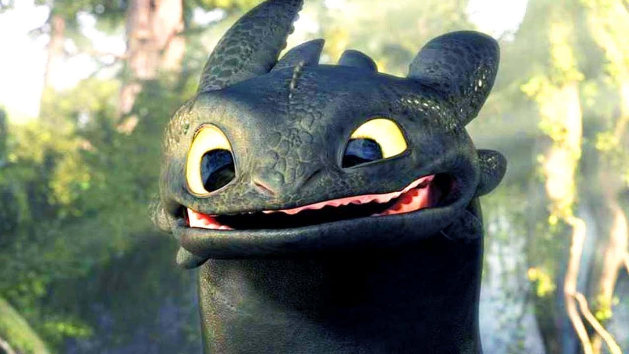 chuck auten recommends How To Train Your Dragon Images Of Toothless