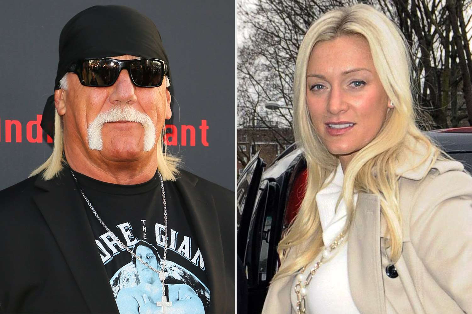 chennai raj recommends Hulk Hogan New Girl