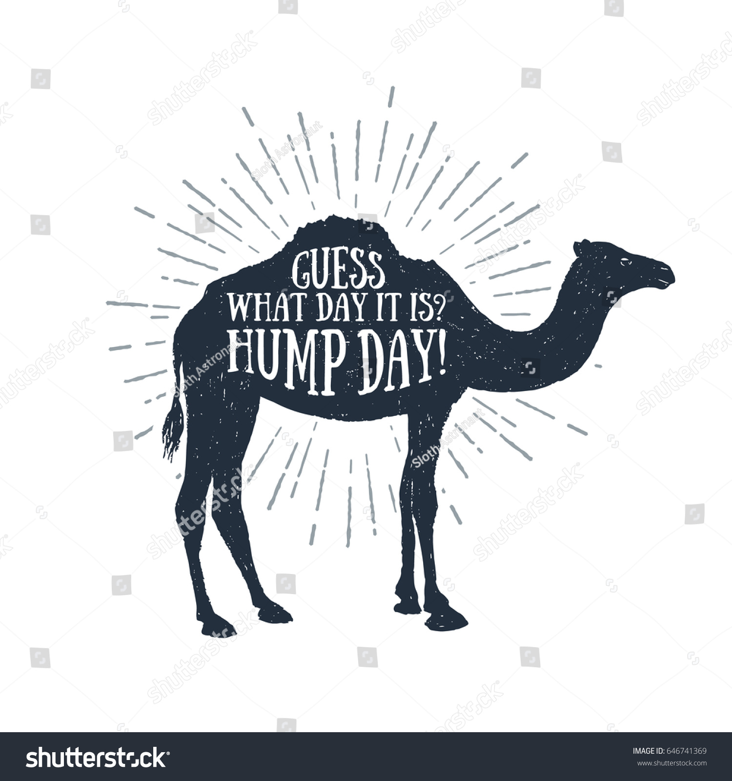 candi foster recommends hump day image pic