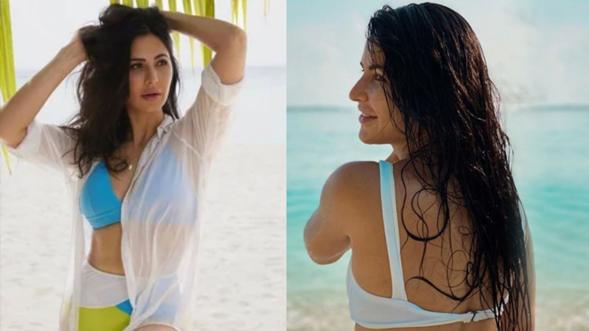 charlie whop recommends Katrina Kaif Hot Bikini