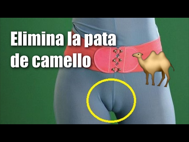 ali jeber recommends La Pata De Camello