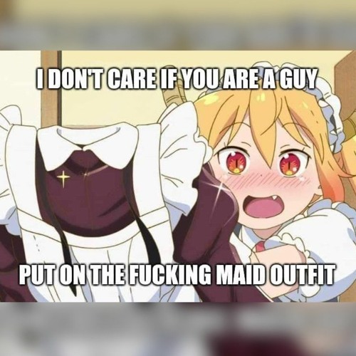 benjamin wolfe share maid outfit meme photos