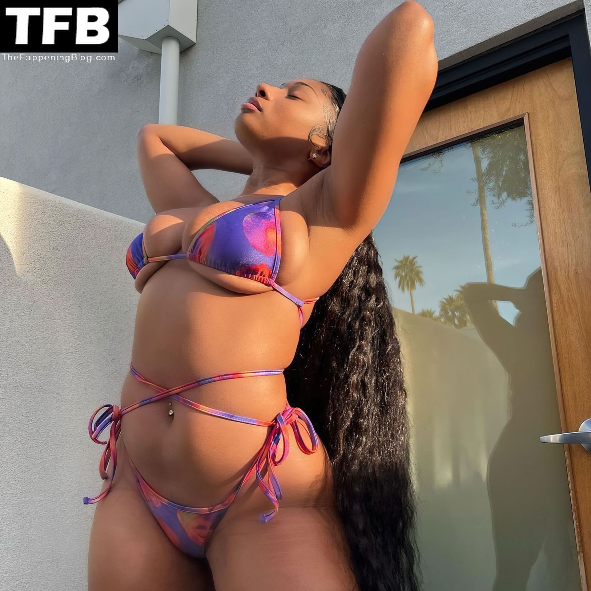colleen stahl recommends megan thee stallion big tits pic