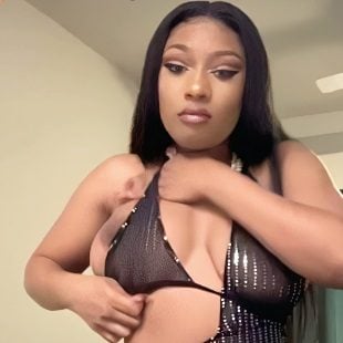 donna sali recommends megan thee stallion naked pic