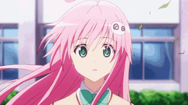dixie woodham recommends momo to love ru gif pic