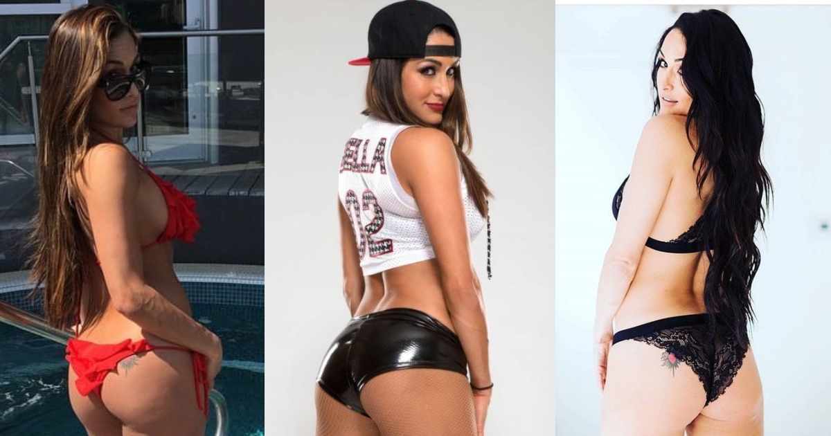 dean harbour recommends nikki bella hot ass pic