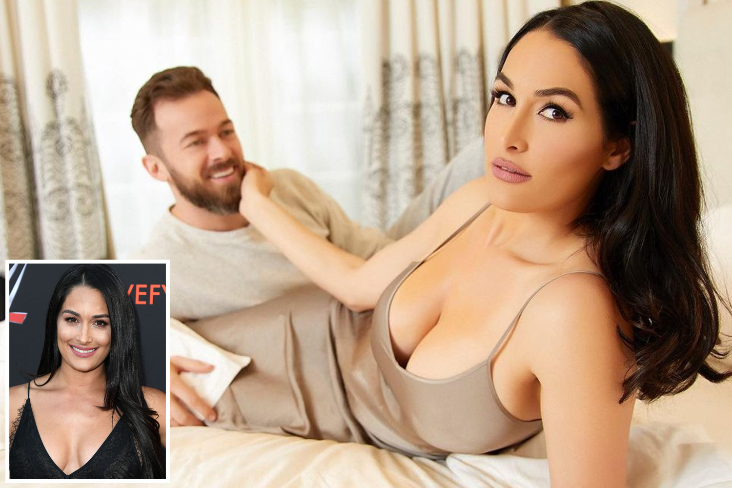 alan carwile recommends nikki bella sextape pic