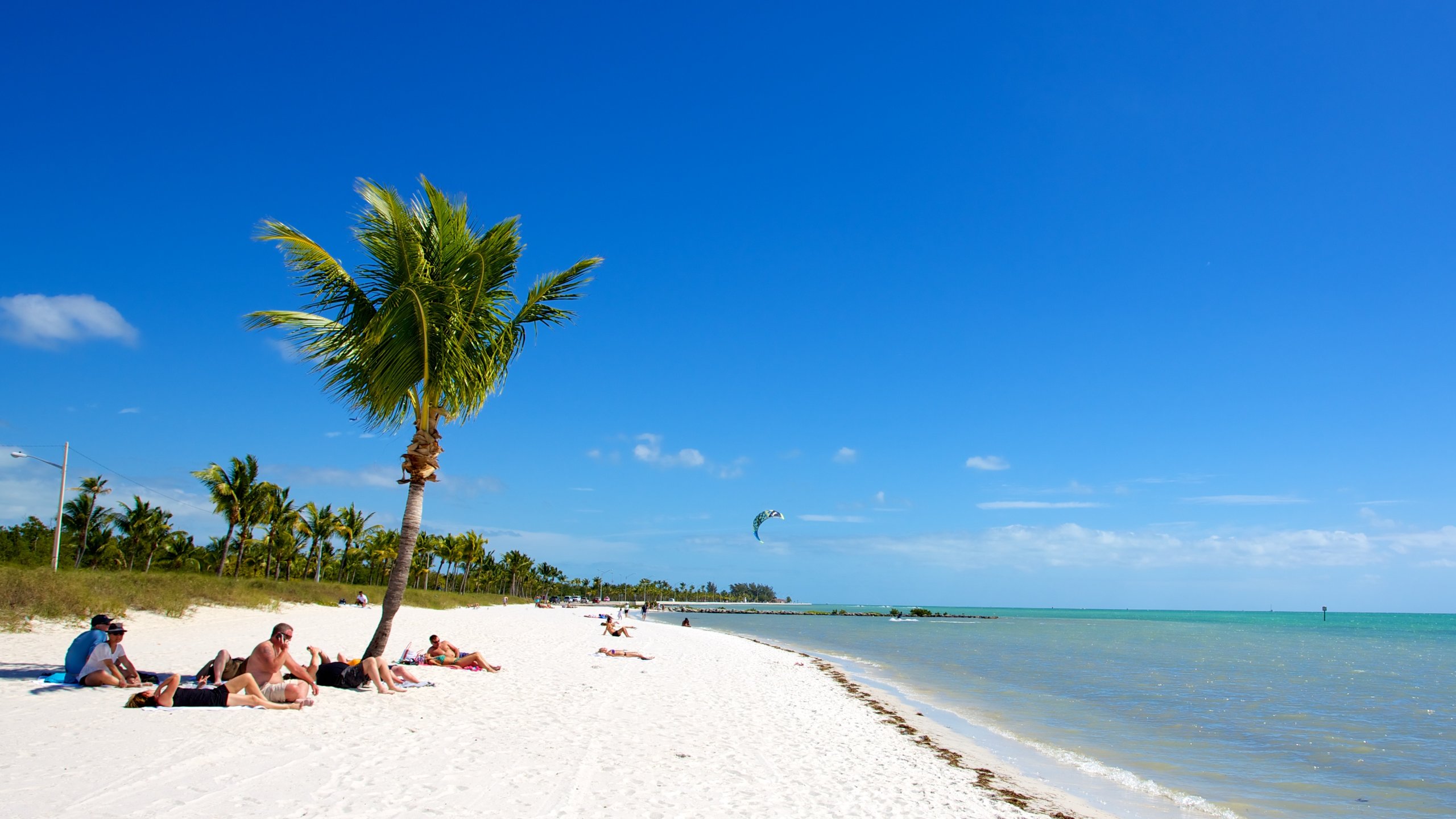 dave lowen recommends Nude Beaches In Key West Fl