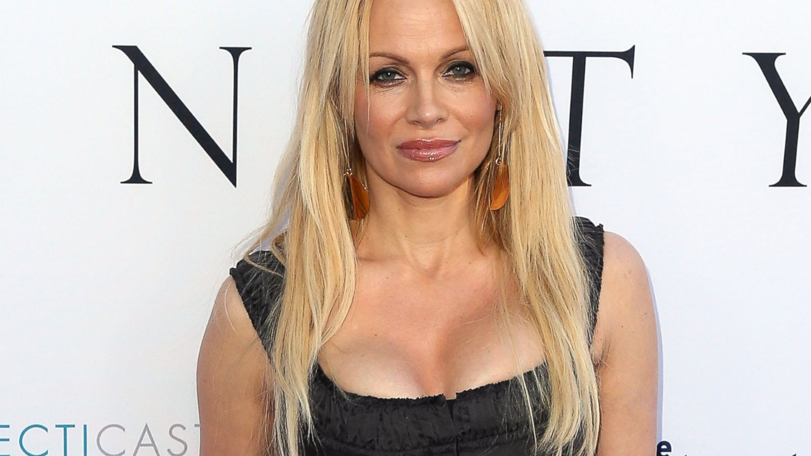anita allan recommends Pamela Anderson Pussy