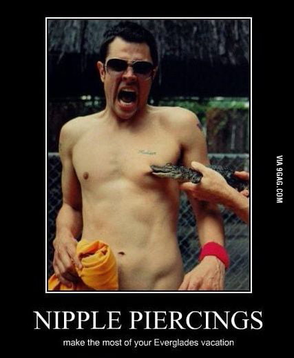 daxy doodle recommends Pierced Nipple Meme