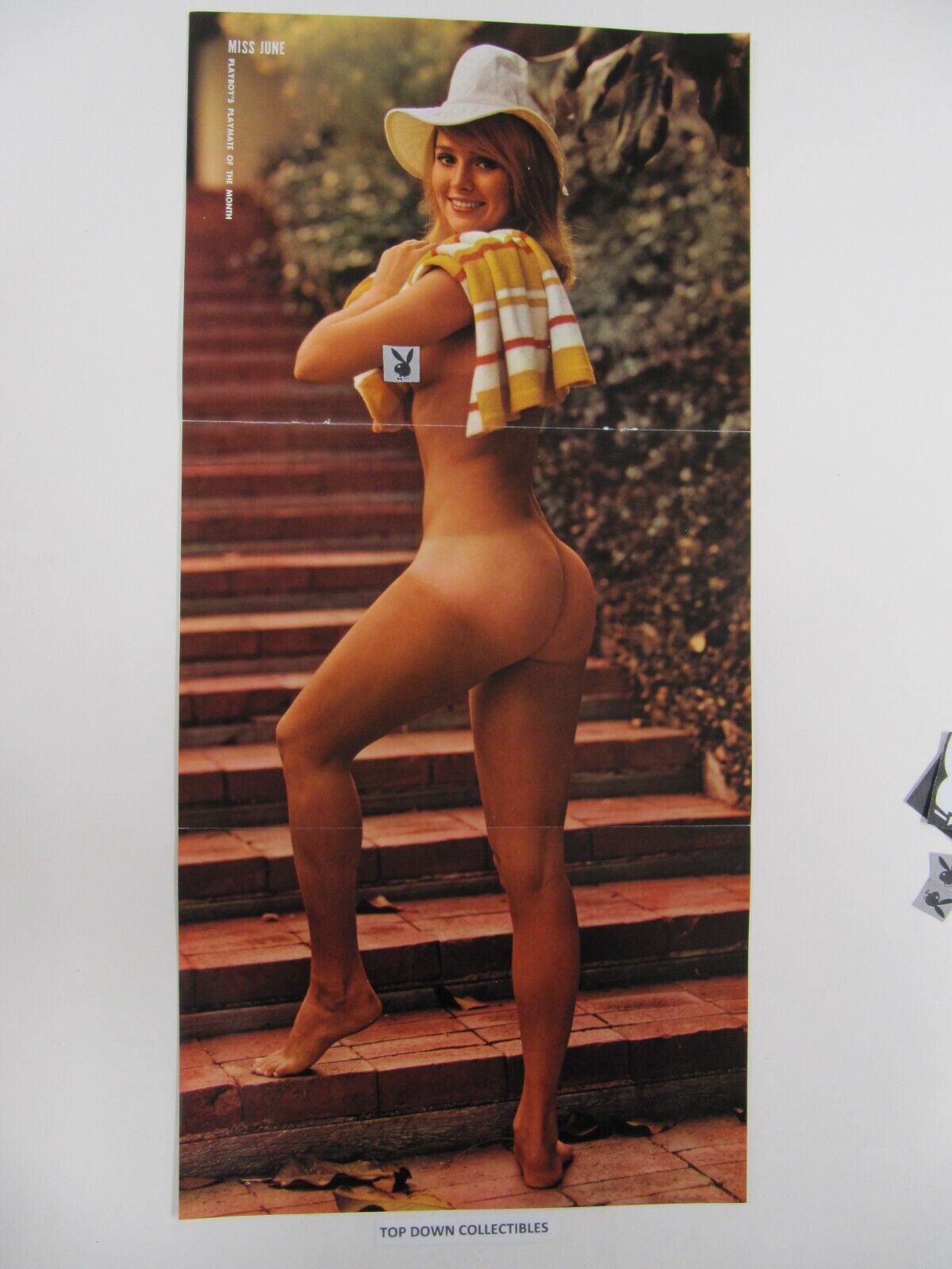 Best of Playboy centerfolds of the 70s
