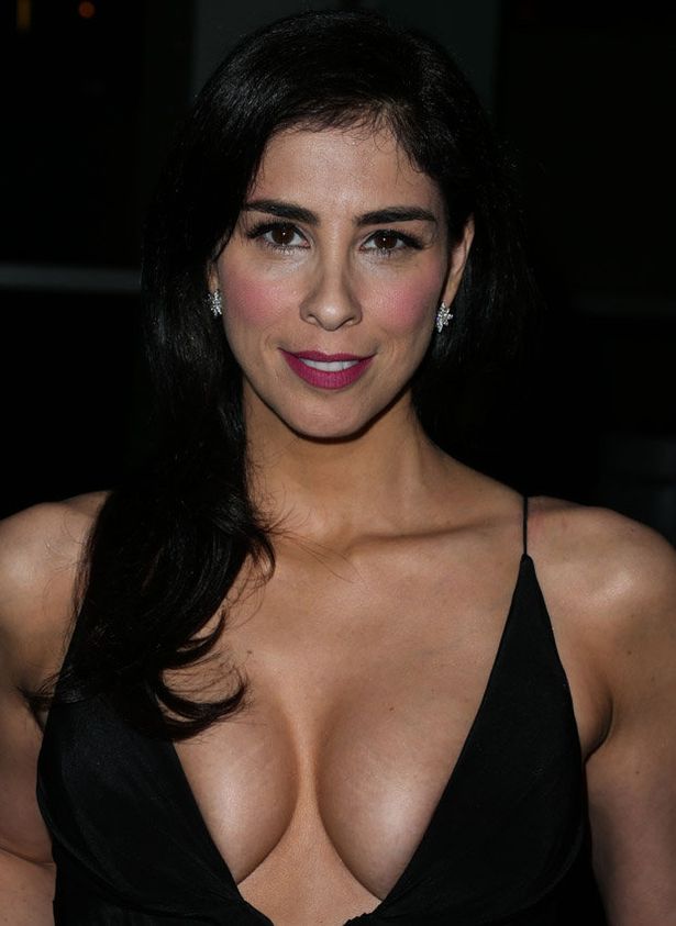 christine countryman recommends sarah silvermans boobs pic