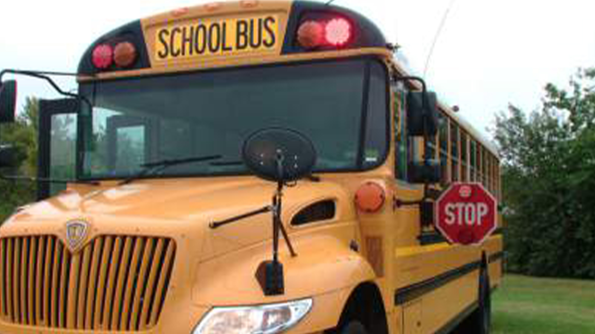 cindy rainville recommends school girl groped on bus pic