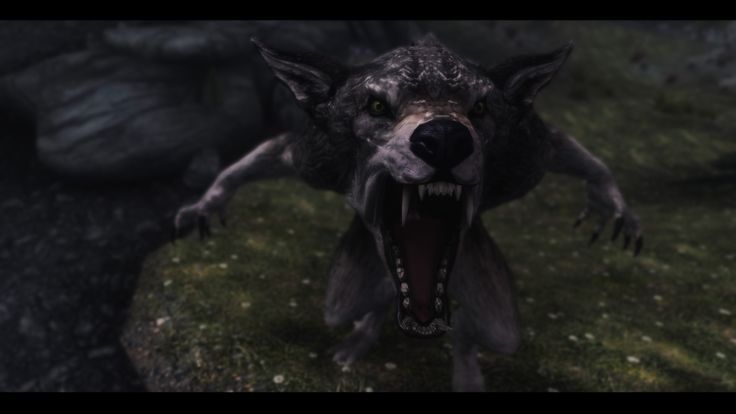 andrea bercikova share skyrim werewolf animation mod photos