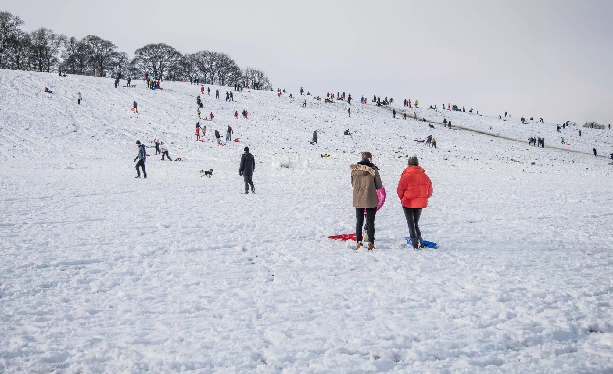 beth biller recommends snow bunny hill tumblr pic