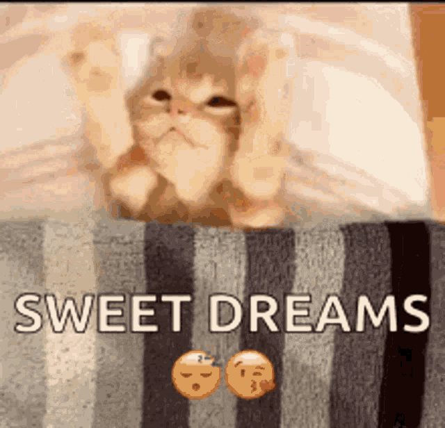 budi harry recommends sweet dreams gif funny pic
