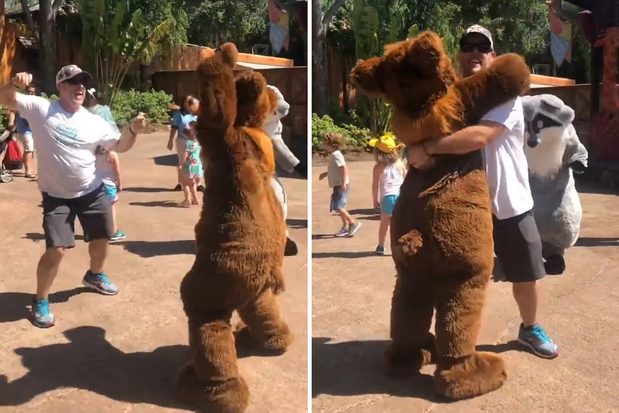 ad frank share teddy bear lap dance photos