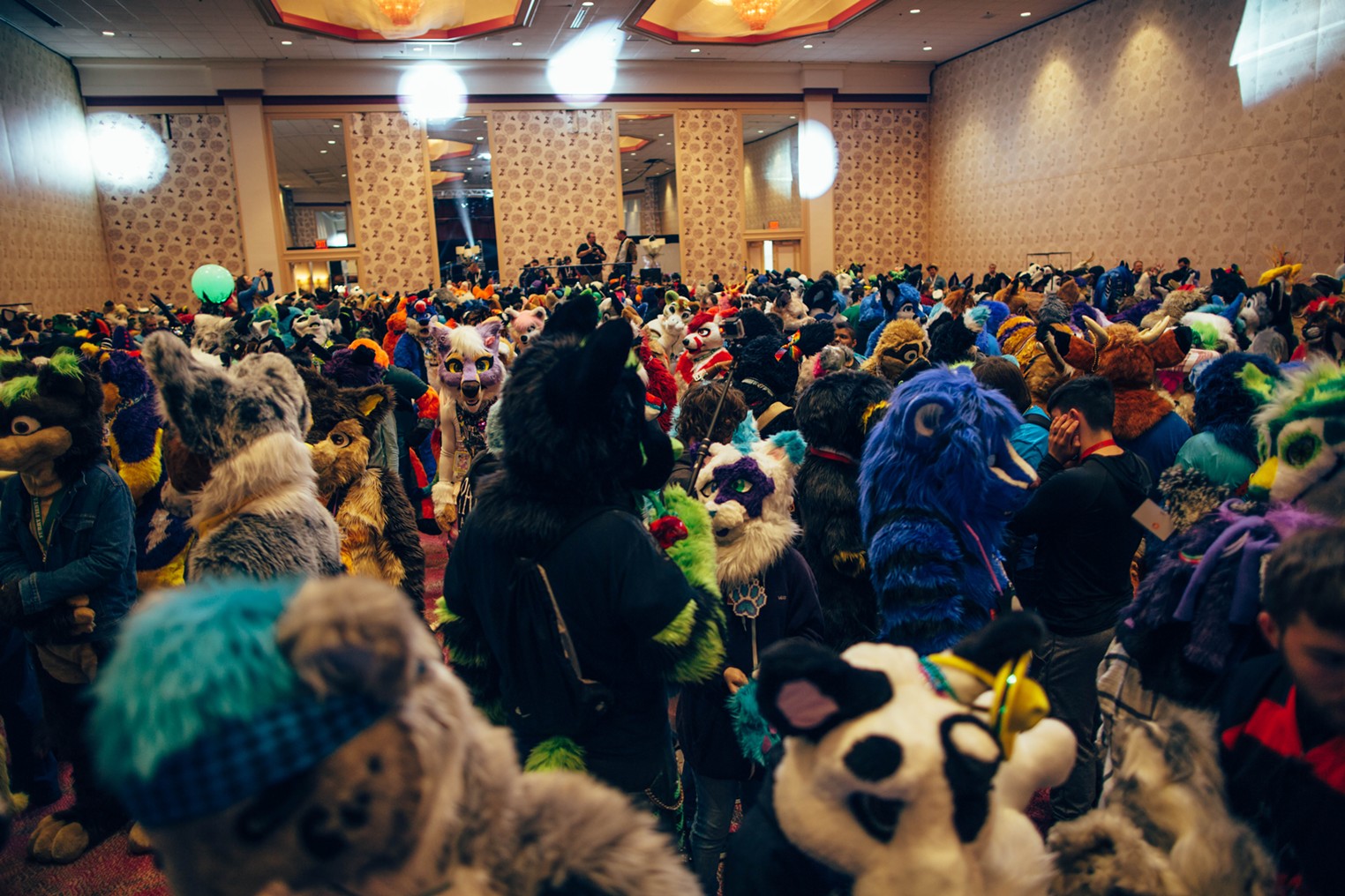 brennan fleming recommends texas furry fiesta 2020 pic