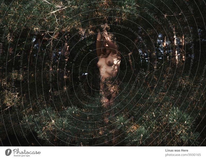 the girl in the spiders web nudity