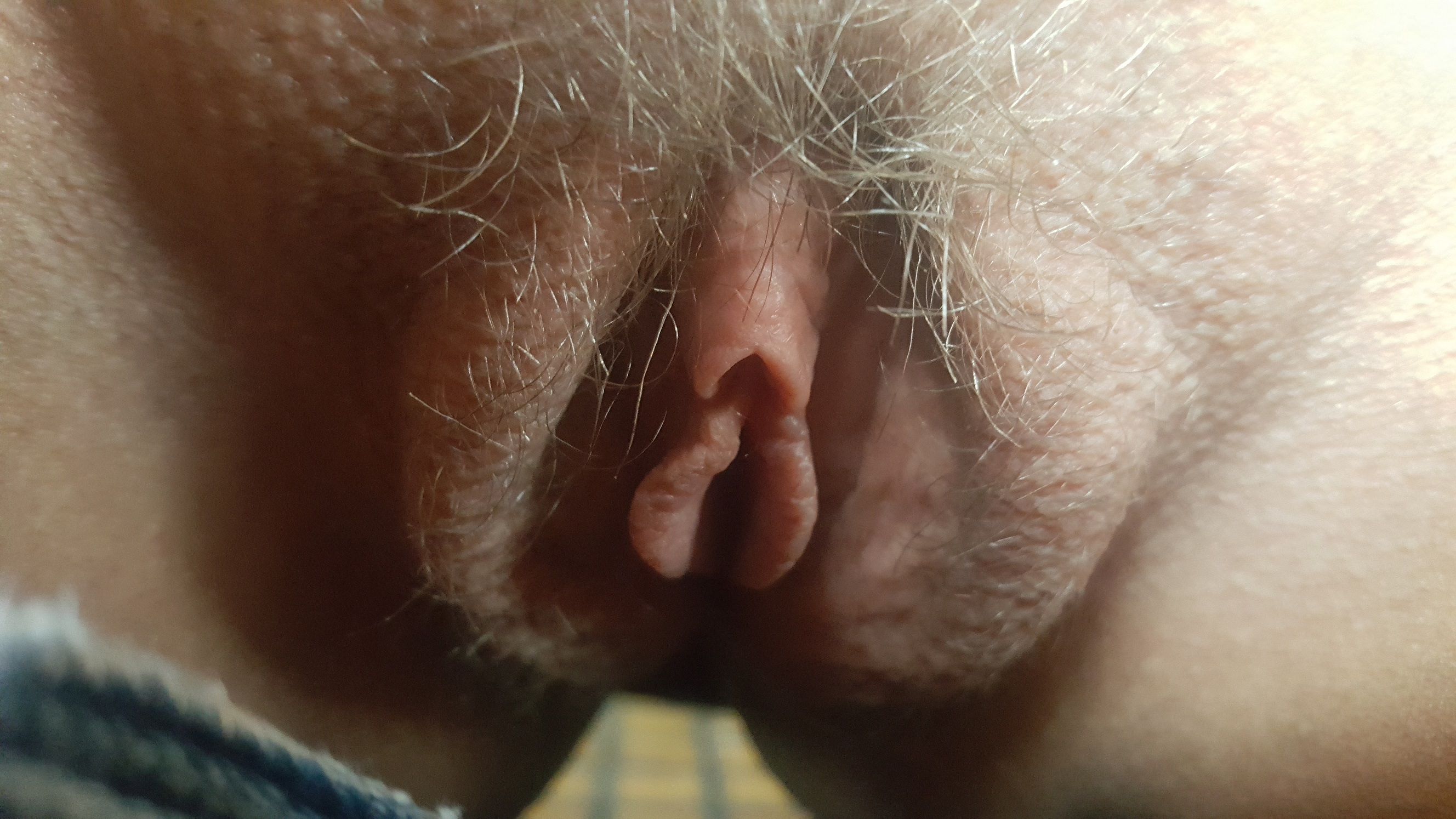 chuck schiele recommends hairy mature pussy sex pic