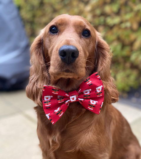 archie washington add toon who wears a red hair bow photo