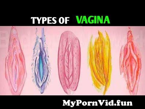 types of vagina porn