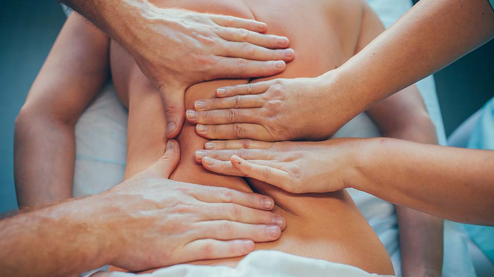 brady brooks recommends What Does 4 Hands Massage Mean